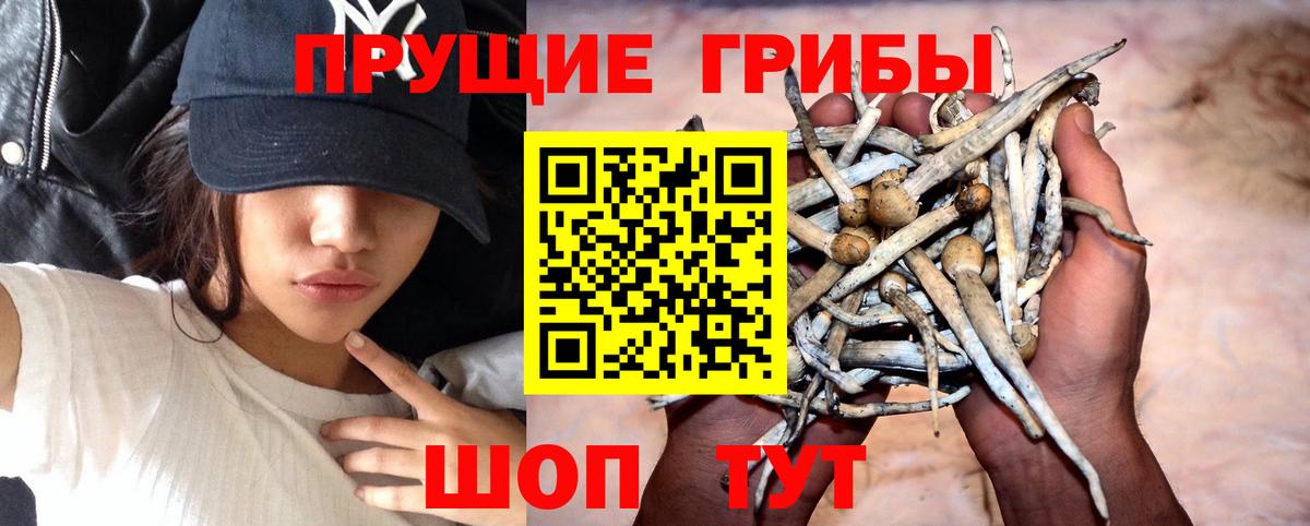Галлюциногенные грибы Cubensis Комсомольск-на-Амуре